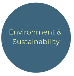 Content Marketing on the Sustainability of the Environment